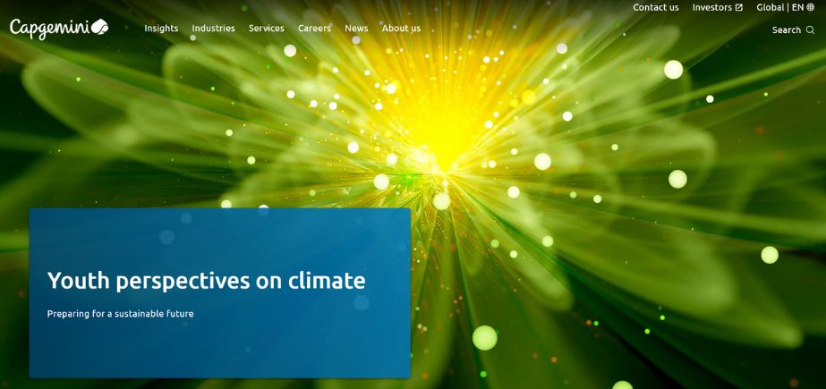 Capgemini - Business Application Development