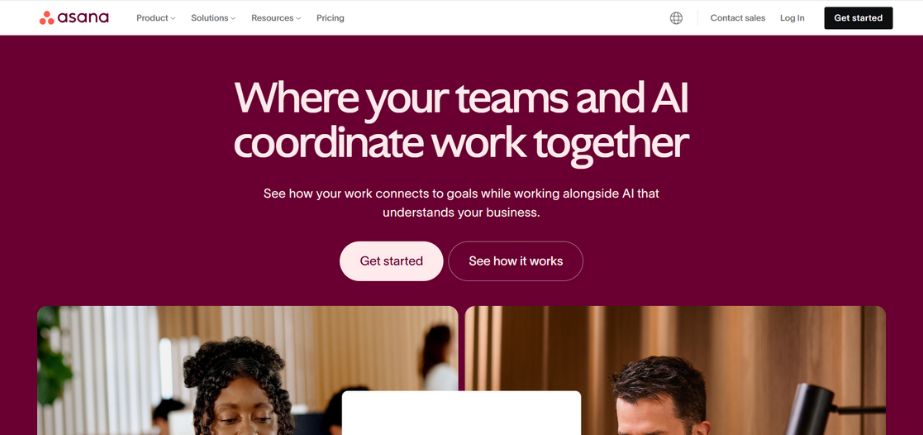 Asana - Customer Journey Mapping Tools