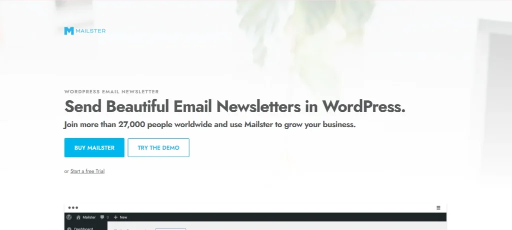 WordPress Email Marketing Plugin - Mailster