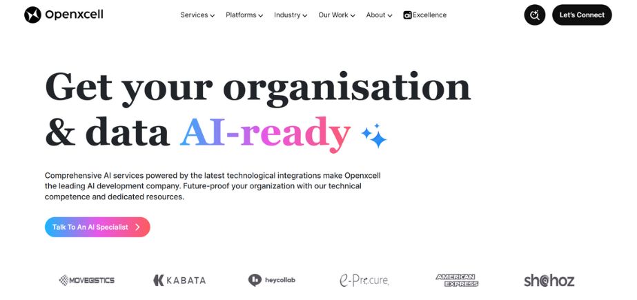OpenXcell - Web Development Companies in the USA