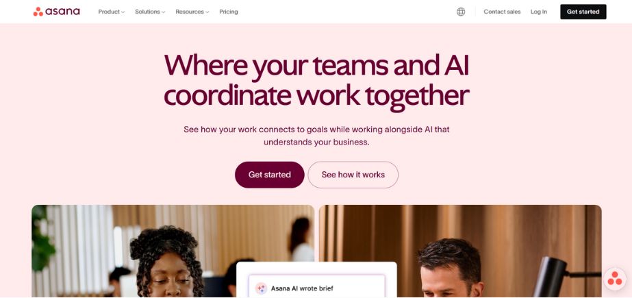 Asana - Task Management Software