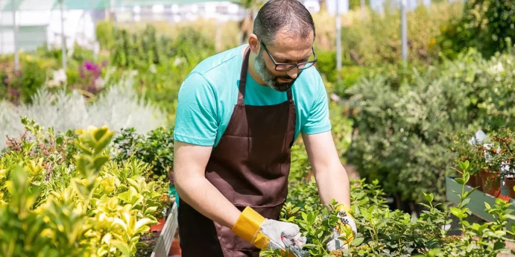 Low-Stress Jobs That Pay Well Without a Degree