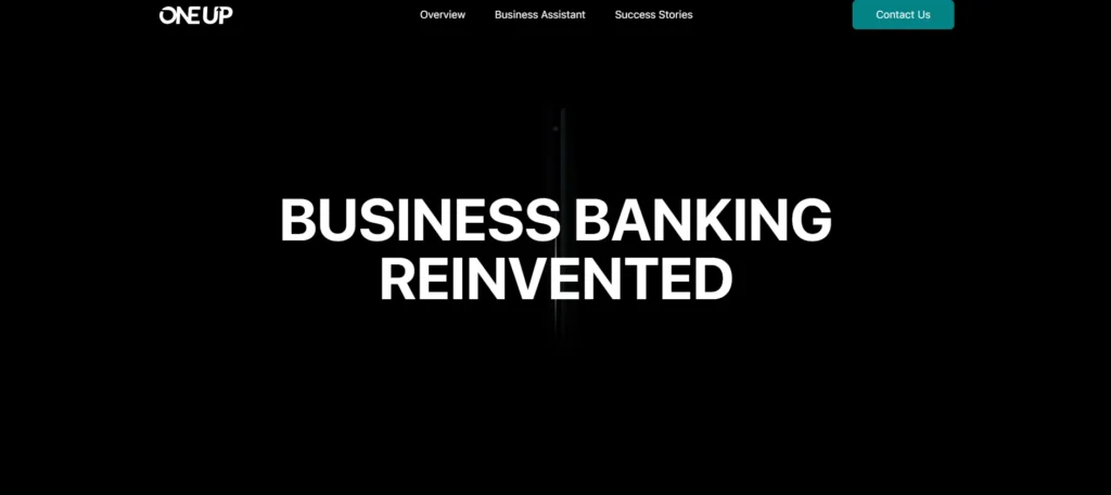 Accounting Software for Small Businesses - OneUp