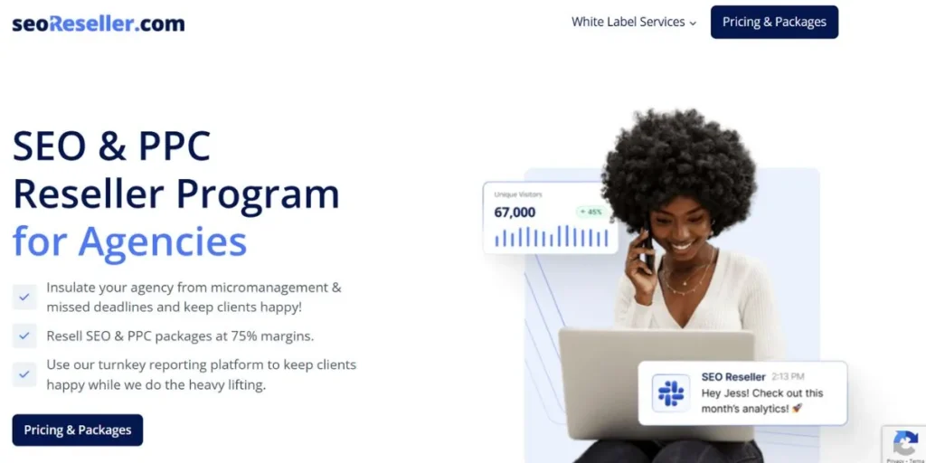 White Label SEO Companies in USA