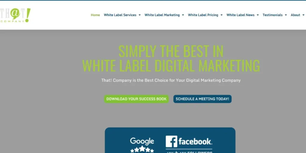 White Label PPC Agencies in USA
