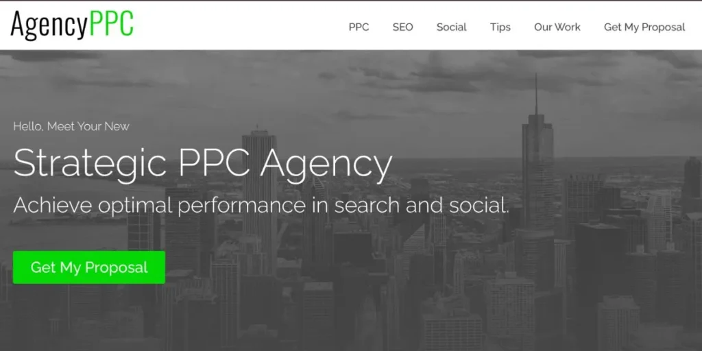 White Label PPC Agencies in USA
