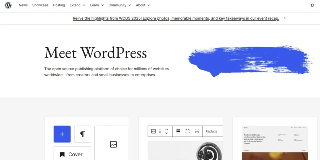 CMS for SEO
