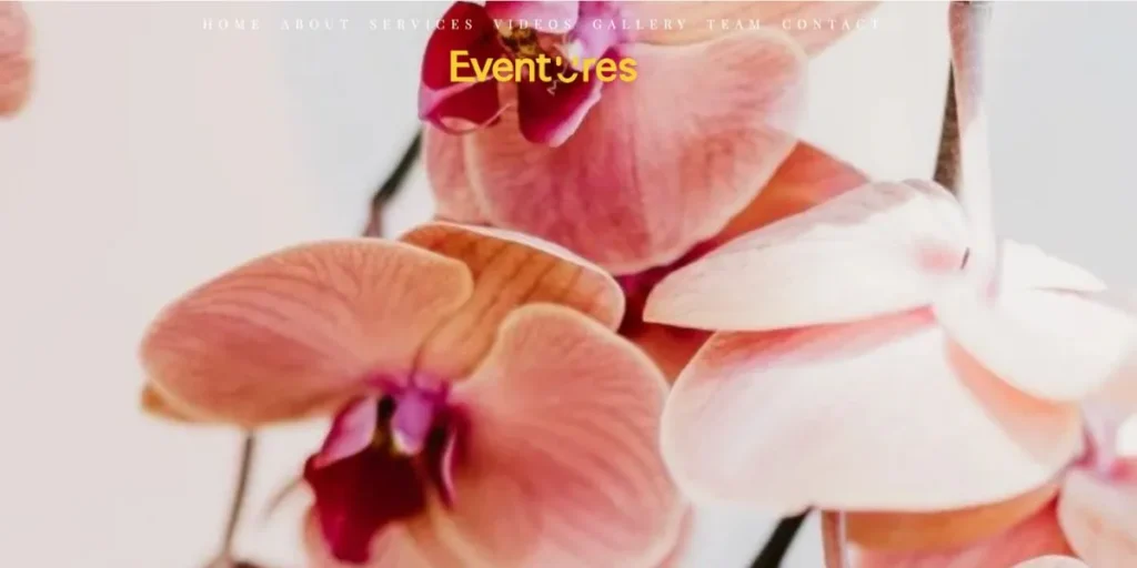 Event Management Companies in Hyderabad