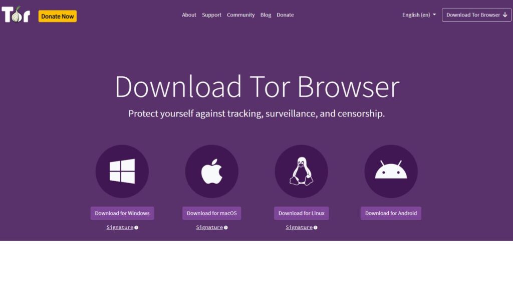 Alternative Browsers to Chrome