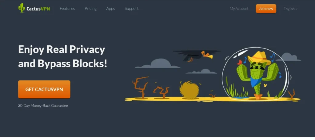 CactusVPN-VPN for iOS