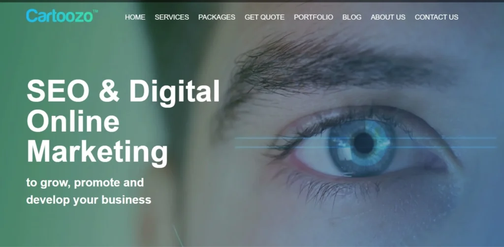 SEO Companies in Huddersfield - Cartoozo