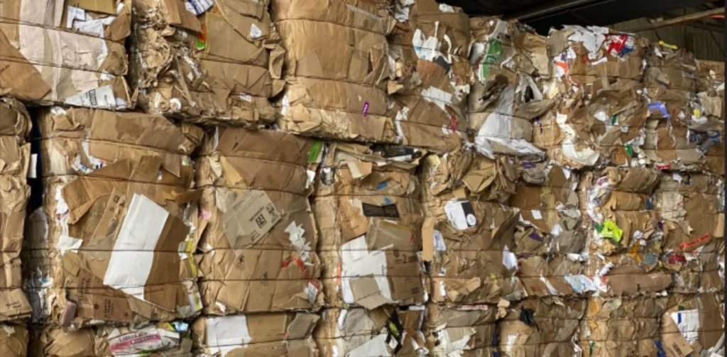 Scrap Business - Paper & Cardboard Collection