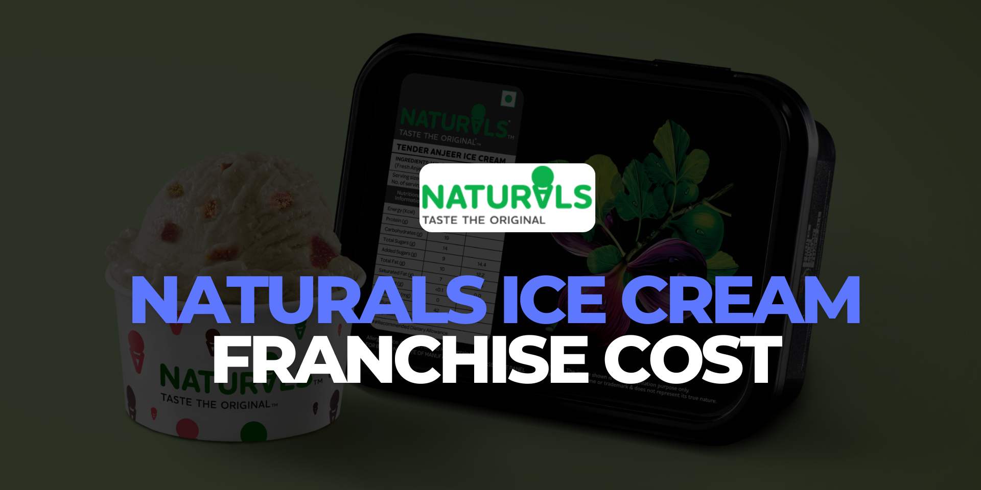 Naturals Ice Cream Franchise Cost