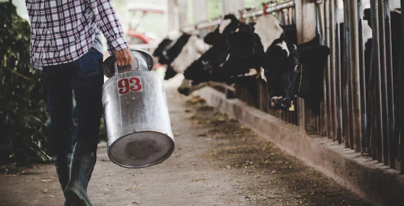 Business Ideas in Bihar - Dairy Farming