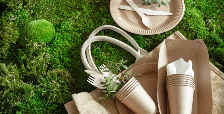 Dropshipping Business Ideas - Eco-Friendly Products