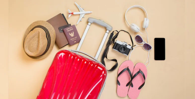 Dropshipping Business Ideas - Travel Accessories