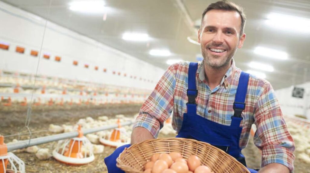 Poultry Farming Business Plan