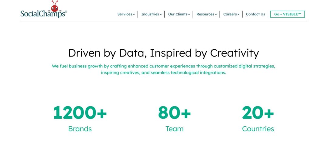 TikTok Analytics Tools