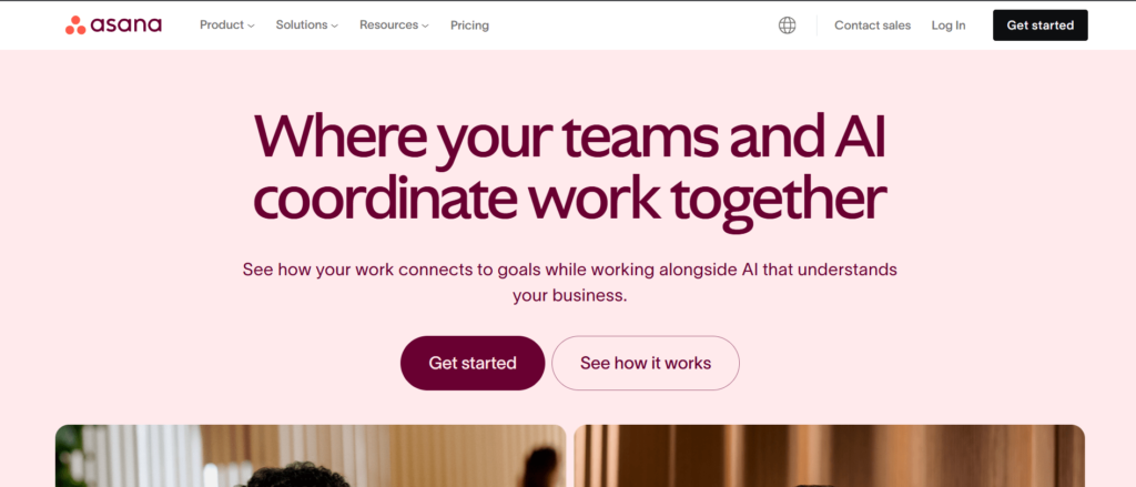 Project Management Software – Asana