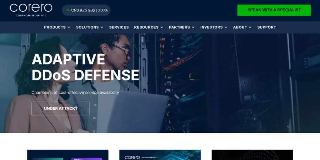 DDoS Protection Tools