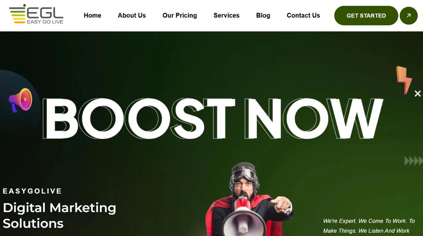 easygolive - digital marketing companies in Amritsar