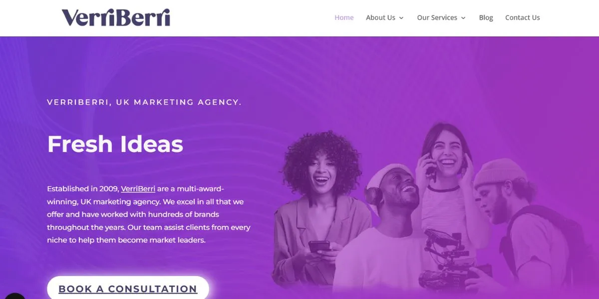 VerriBerri - SEO Companies in Essex