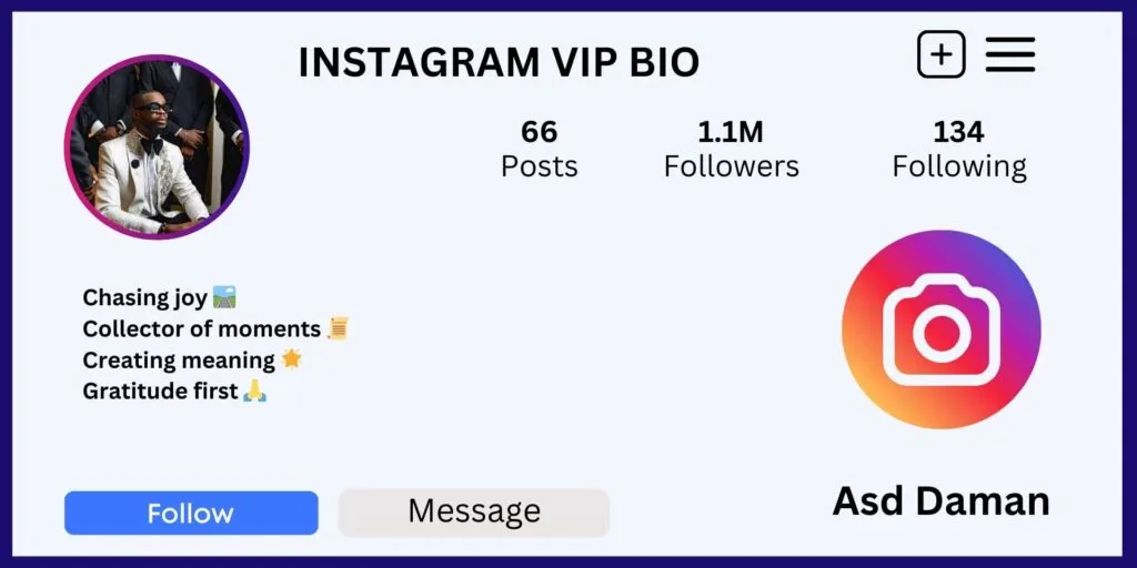 Instagram VIP Bio