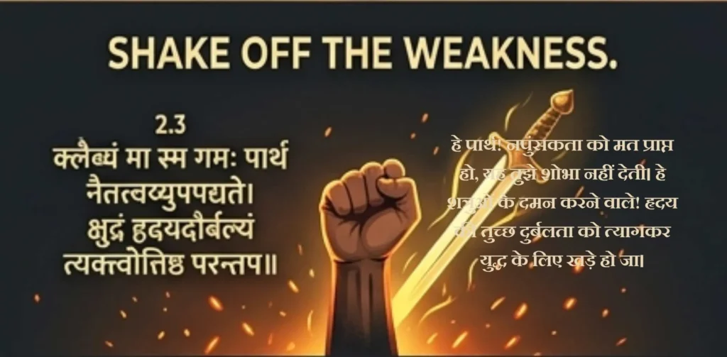 200+ Bhagwat Geeta Shlok in Sanskrit with Meaning